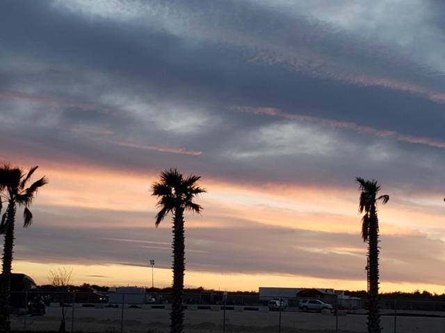 Rivercity Rv Park New Braunfels Esterno foto